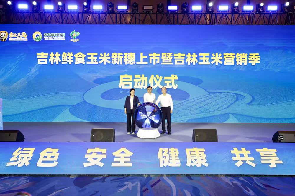 微信图片_20260901173729_353_97.jpg